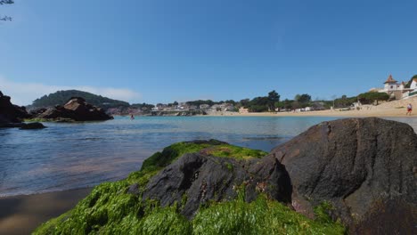 la fosca beach in girona mediterranean sea without people paradisiacal blue turquoise blue sky rock in the foreground green algae on the rock