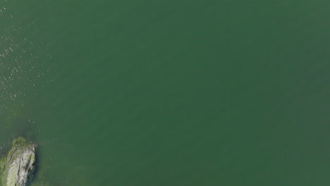 Luftaufnahmen-über-Felsen-Und-Wasser-Im-Puget-Sound