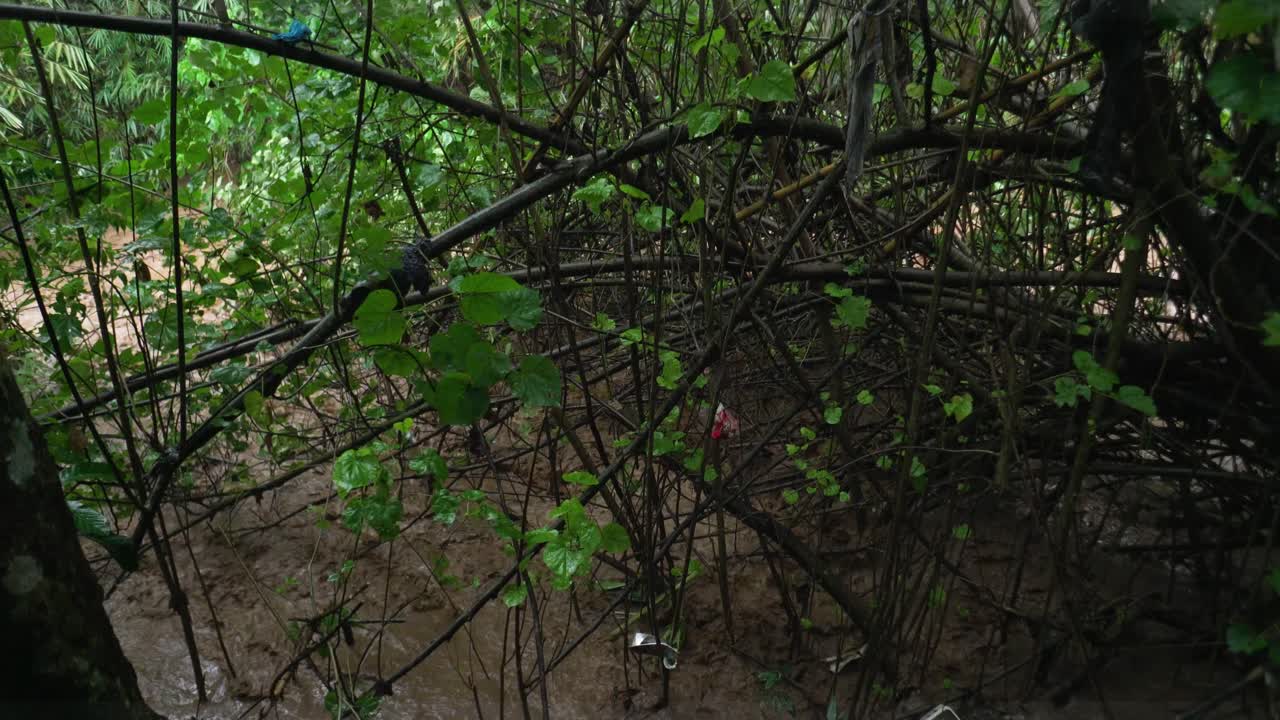 산의 돌발 홍수, 토양 침식