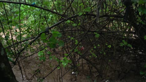 inundación repentina de las montañas, erosión del suelo