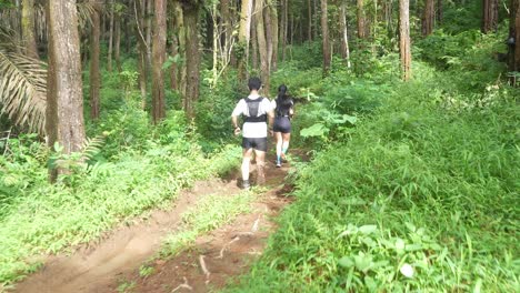 personas caminando en un bosque