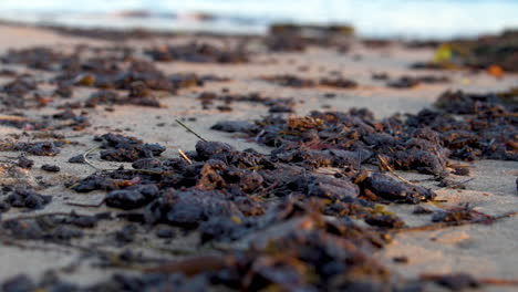 alquitrán y aceite se acumulan en la playa después del esfuerzo masivo de limpieza de la playa luego del derrame de petróleo del refugio 1