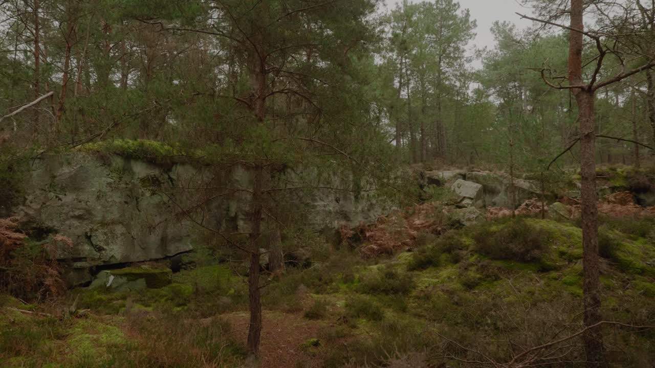 POV Exploring Forest At The Gorges of Franchard In France
