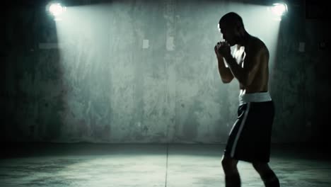 a determined boxer engages in a rigorous training session, showcasing powerful movements and techniques in a gritty, shadowy gym environment. bright lights create dramatic contrasts.