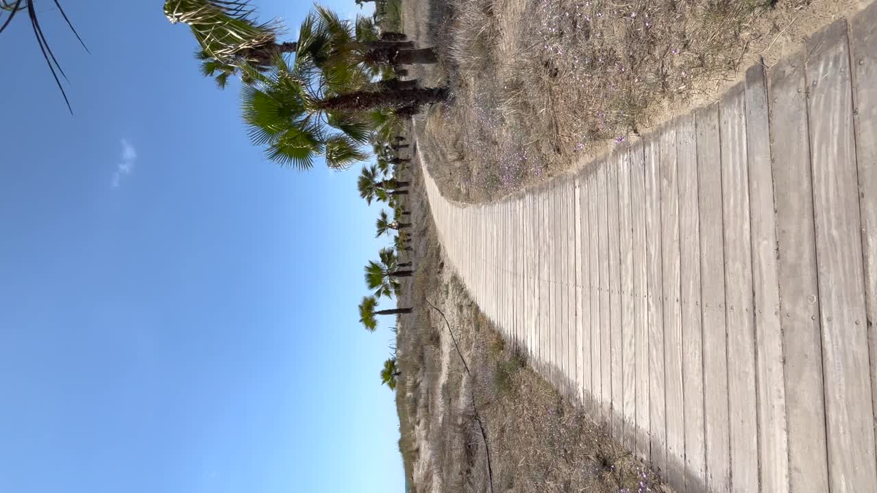 camino de madera en la playa en vista vertical con palmeras en los lados