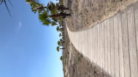 camino de madera en la playa en vista vertical con palmeras en los lados