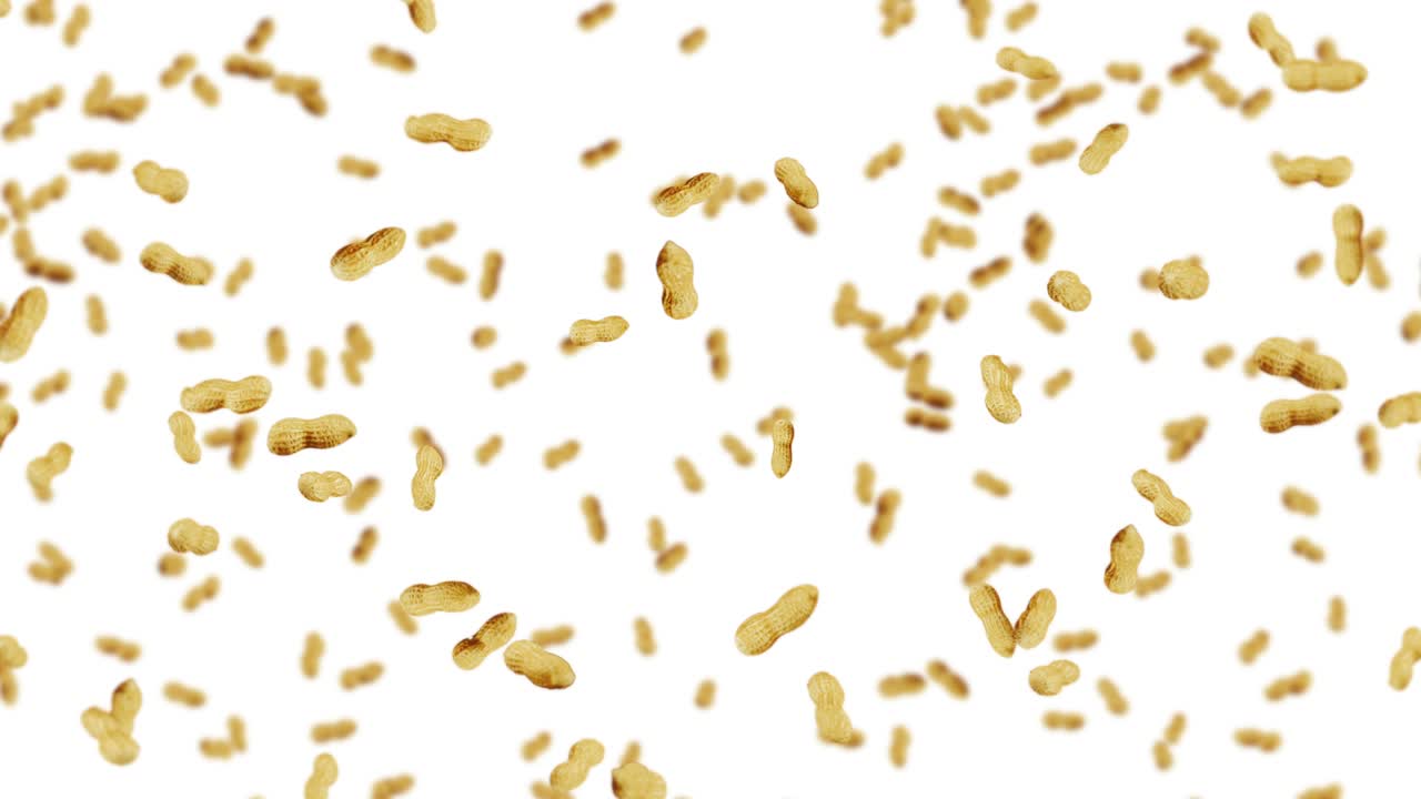 много арахиса на белом фоне. сырые арахис. арахис в оболочках. здоровая органическая еда. 3d цикл анимации семенного вращения.