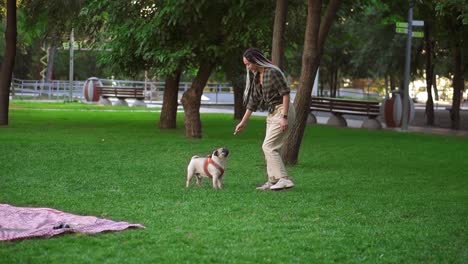 Young-girl-playing-with-pug-dog-in-park,-the-dog-is-running,-jumping,-trying-to-catch-kickshaw