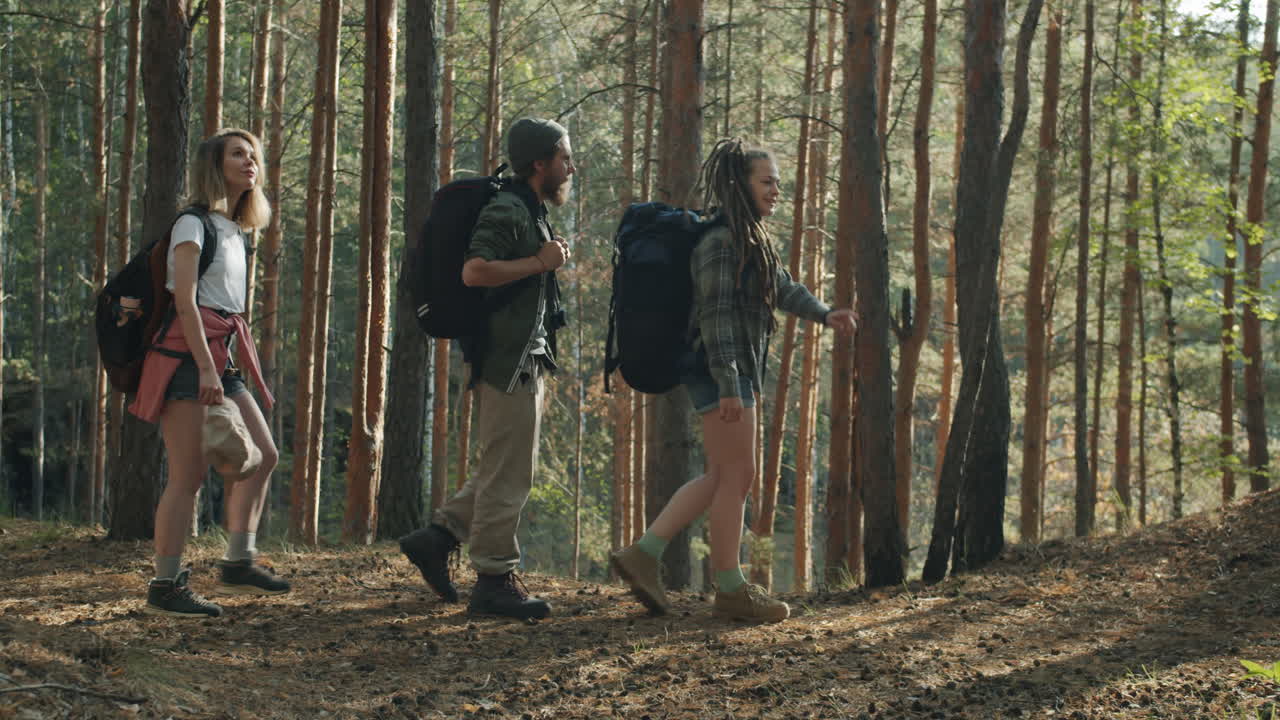 excursionistas en un bosque