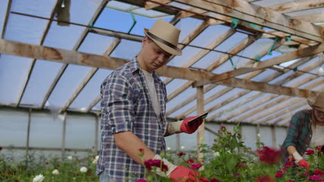 modern small flower growing business. colleagues florists work together with tablet computers in a greenhouse. 2 modern gardeners inspect flower buds together