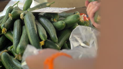 mujer comprando pepinos en el mercado