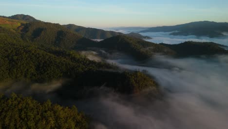 sea of mist in the valley, evergreen pine tree forest mountains peaking through the clouds, sea of mist in northern thailand south east asia