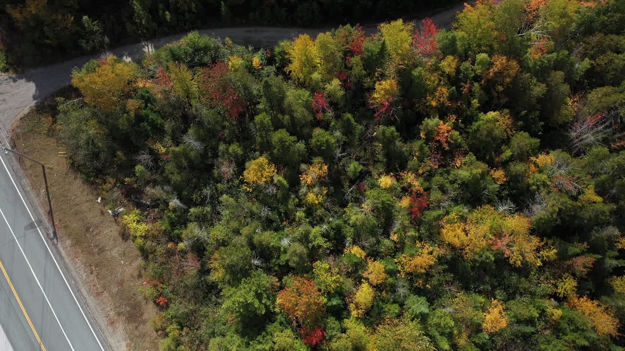 Birdseye Aerial View of Pickup Truck Moving on Road by Colorful Forest in Autumn Foliage Colors, Countryside of Maine, USA