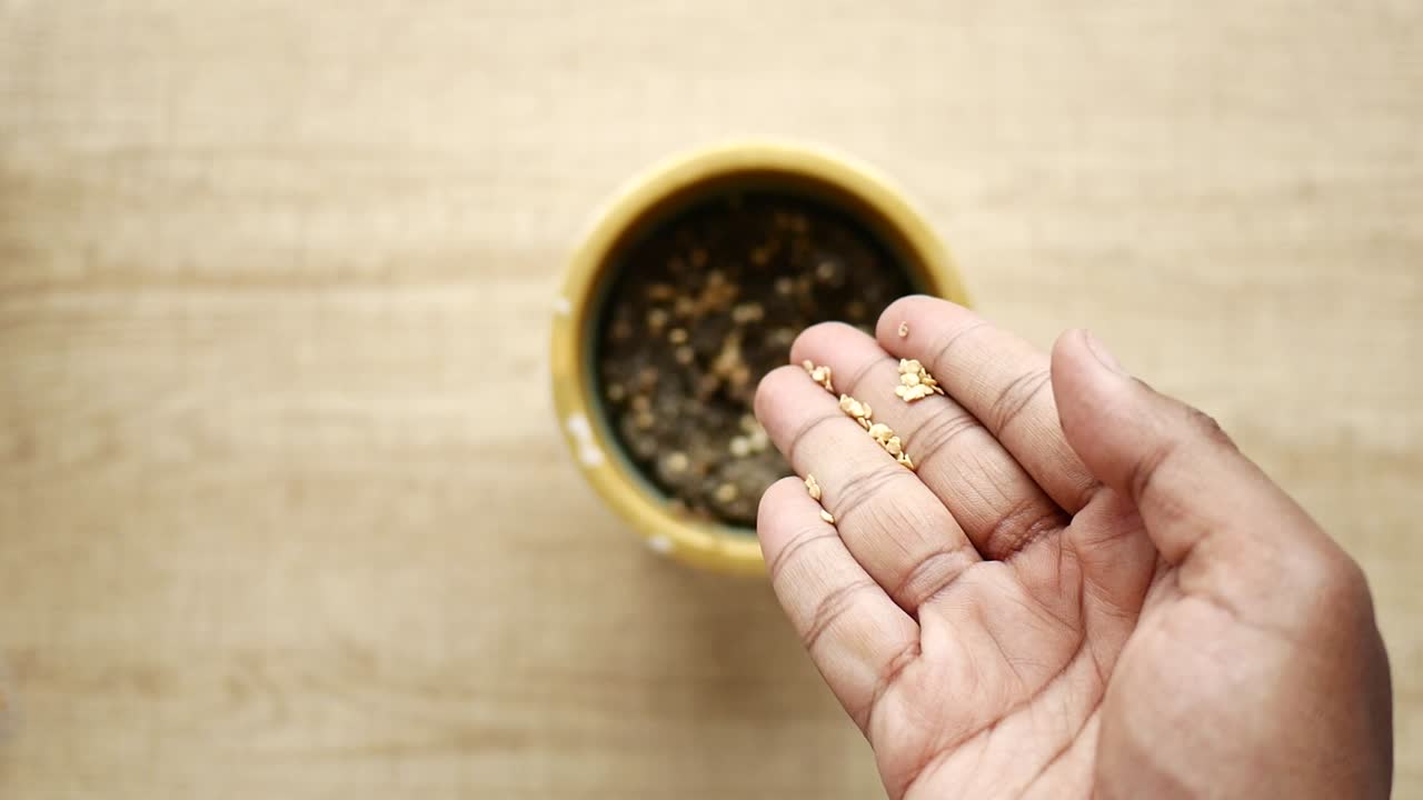 Hand Planting Seeds in a Pot