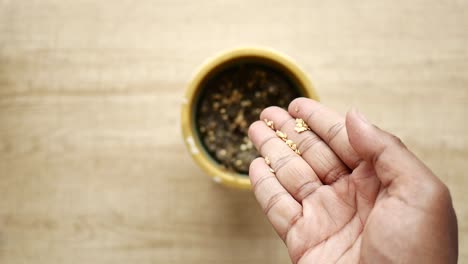 hand planting seeds in a pot