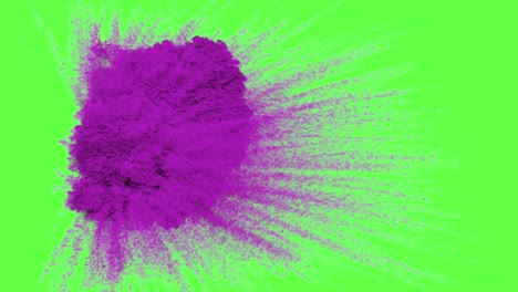 purple paint explosion on green screen