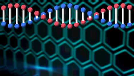 animation of rotating dna strand over navy background