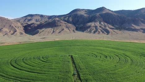 Eficiencia-Desde-Arriba:-Sistemas-Agrícolas-Y-De-Riego-En-El-Valle-Del-Río-Thompson,-Columbia-Británica,-Canadá