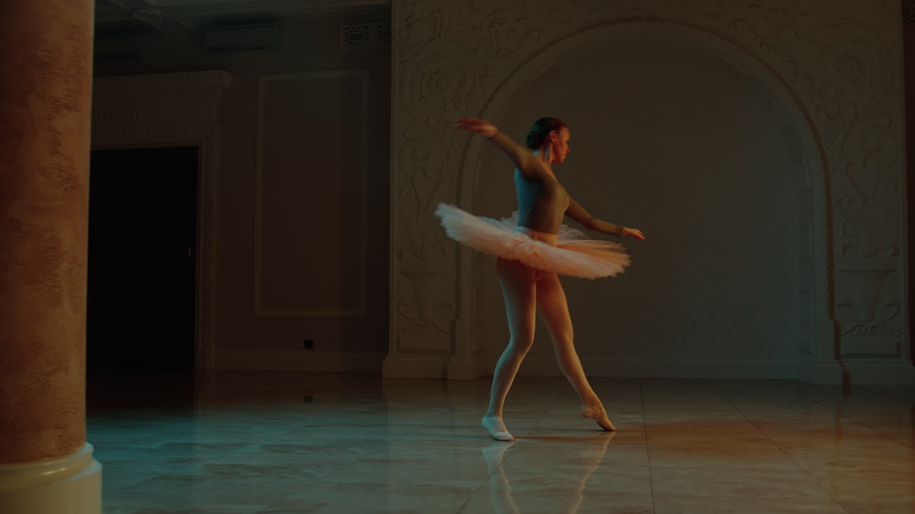 공연에서 발레 댄서