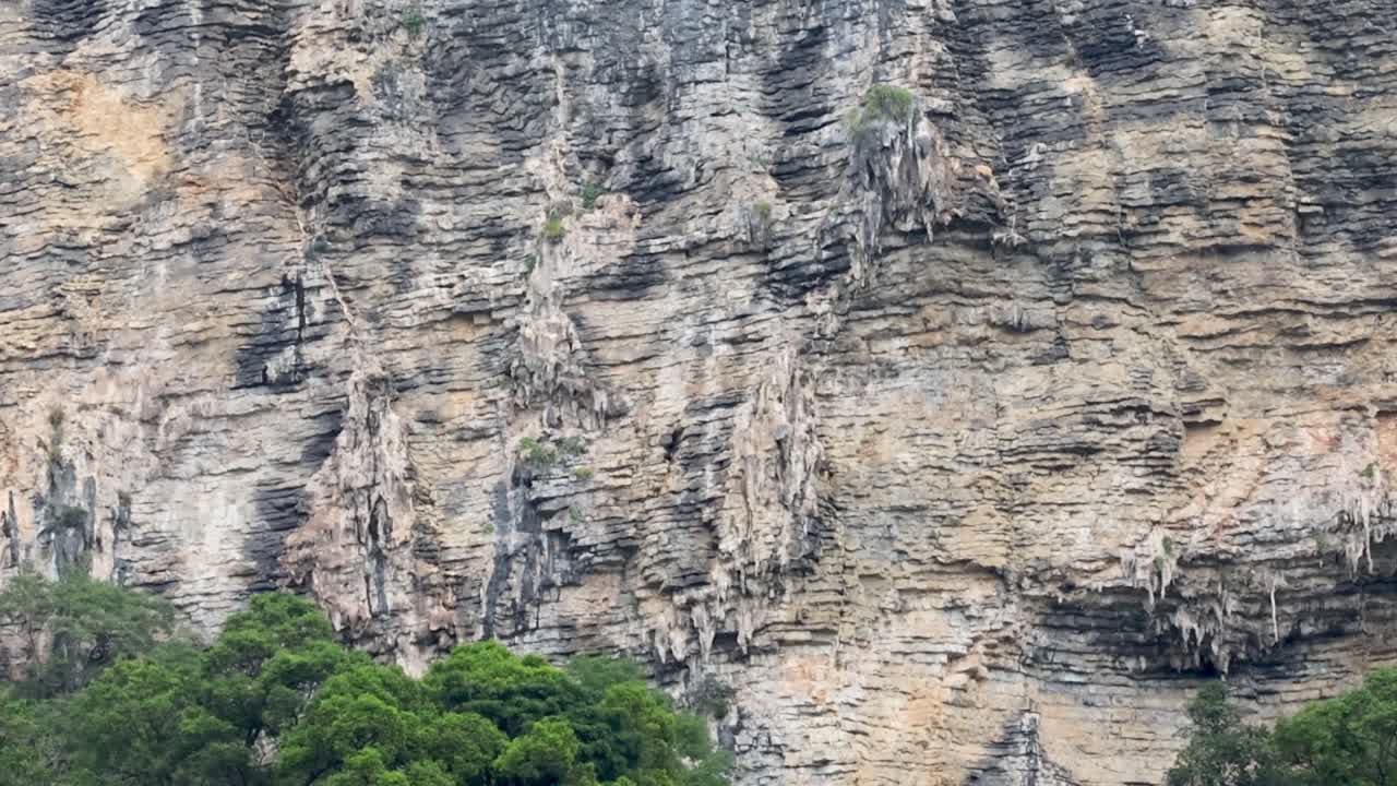 태국 크라비의 울창한 초록색과 해변 오두막