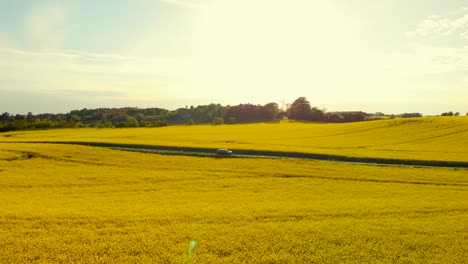 Autofahren-Durch-Wunderschöne-Landschaft-An-Einem-Sommertag