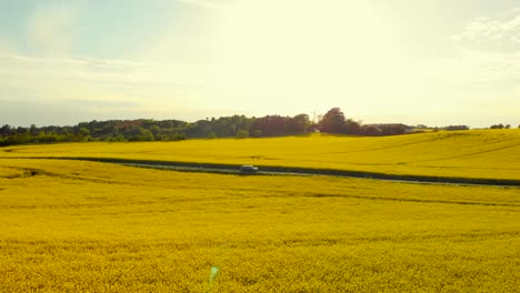 car driving through beautiful landscape on a summer day