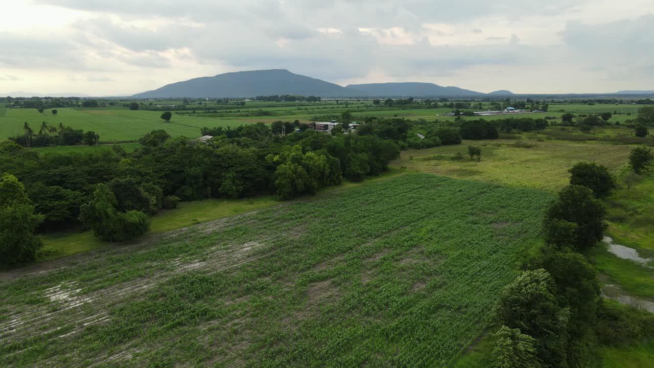 imágenes aéreas deslizándose hacia la izquierda de una hermosa tierra de cultivo, una línea de árboles y montañas en el horizonte con nubes de lluvia, saraburi, tailandia