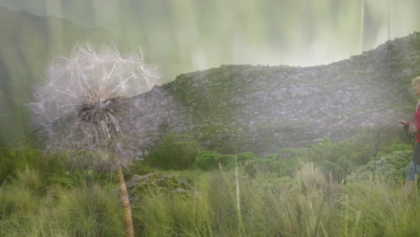 happy caucasian senior couple hiking in mountains over dandelion plant close up