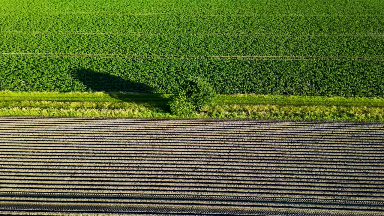 농경지 의 공중 사진