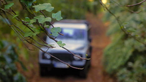 Conducción-De-Camiones-Todoterreno-Borrosa-En-La-Jungla,-En-Madeira---Enfoque-En-Las-Ramas