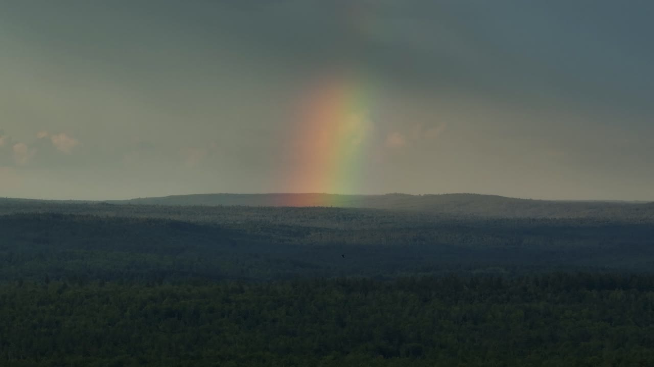 toma aérea única del arco iris que brilla sobre el paisaje cubierto de bosques