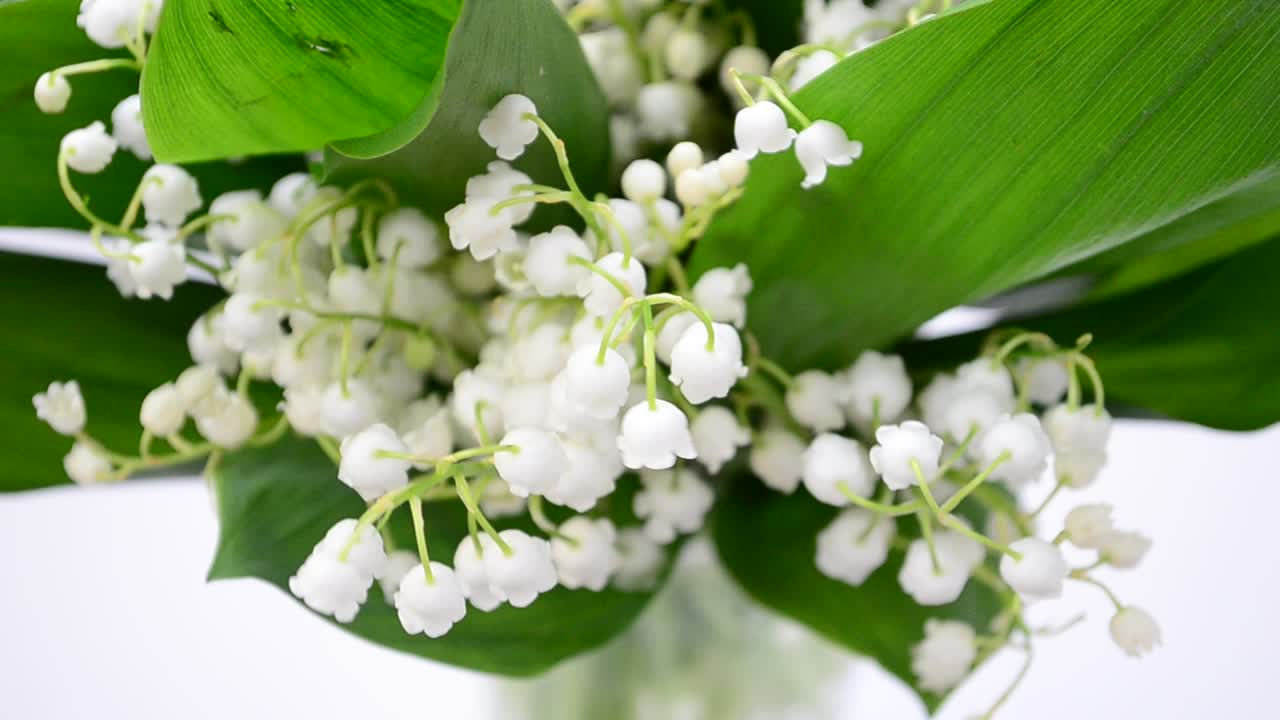 Lilies of the valley in a vase. Spring flowers