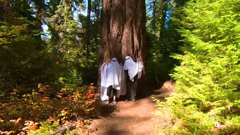 dos personas bailando como fantasmas mientras la cámara se inclina hacia arriba mostrando el enorme árbol