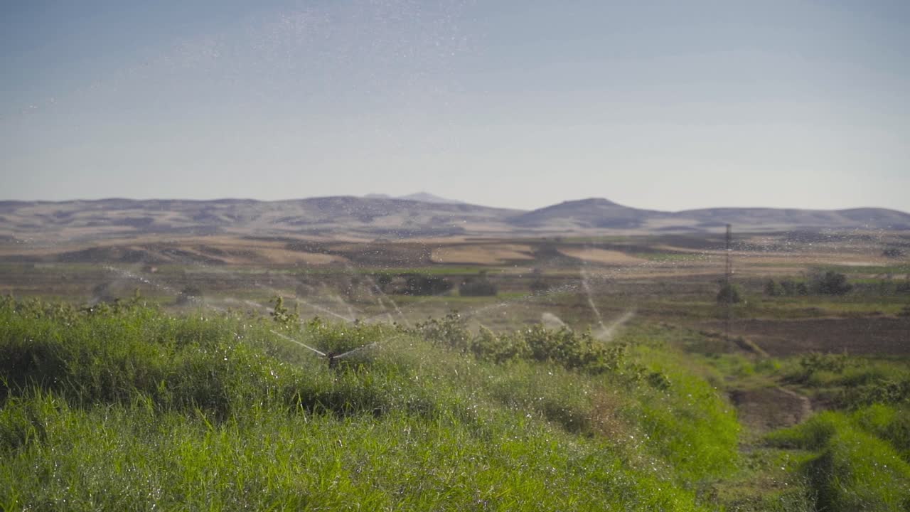 regando el cultivo en cámara lenta.