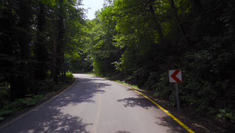 asphaltstraße zwischen bäumen.