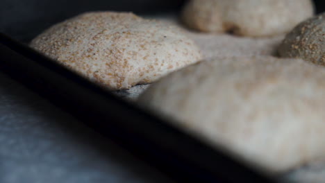 Slow-Mo-Pan-of-sourdough-bread-dough-resting-before-ready-to-be-formed-into-home-made-pizza's