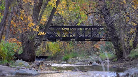 running in the boulder creek in slow motion