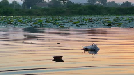 deepdaan, the act of floating oil lamps on the waters of the ganges.
