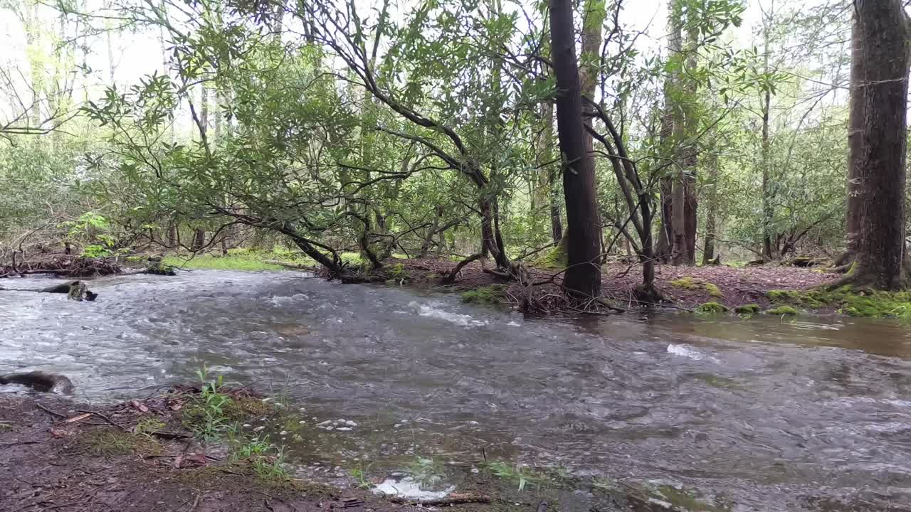 산 스트림 흐르는 테네시 연기가 자욱한 산