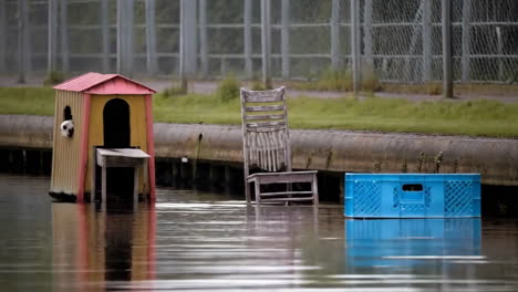 flooded canal with abandoned furniture and dog house