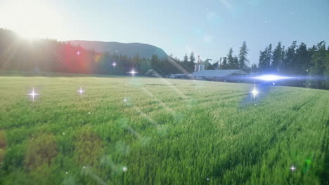 Green grass meadow being illustrated in flat design, showing farmhouse, silos, pine trees