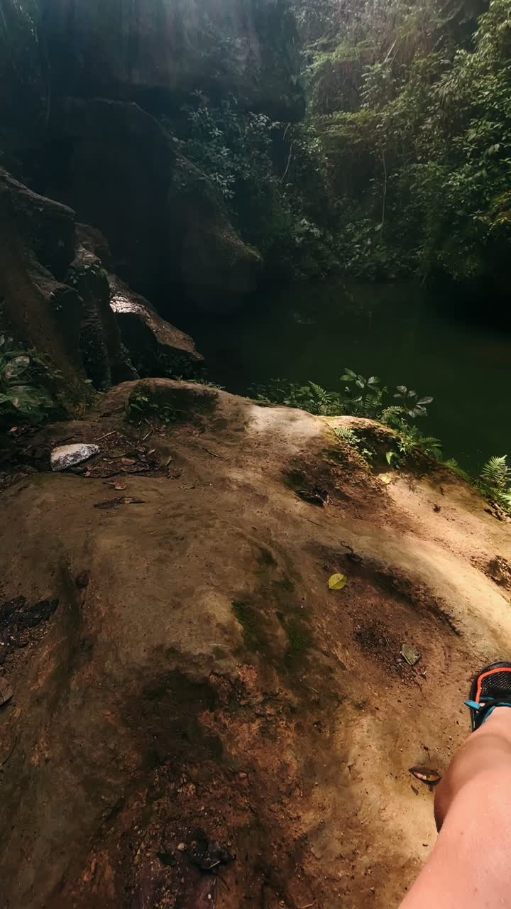 caminata por el río de la jungla