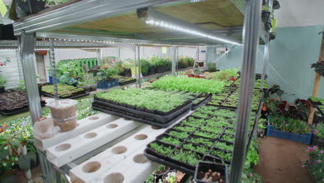 indoor plant nursery with growing trays and shelving
