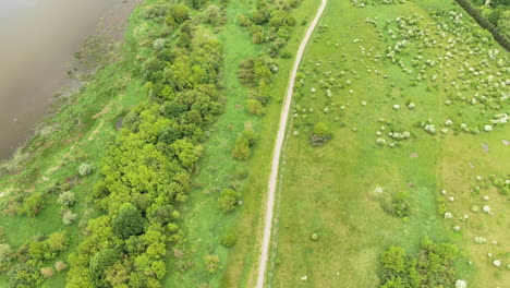 Beautiful-asphalt-pathway-near-river-coastline,-aerial-drone-view