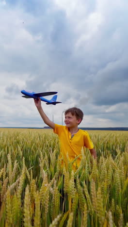 cute boy with a toy plane. little kid playing among agriculture field under clouded sky. summer vacation in the countryside. vertical video