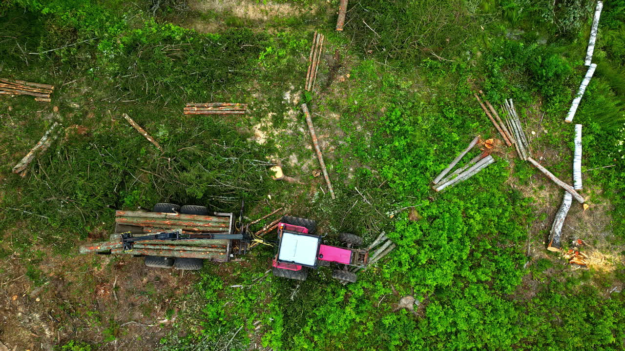 Logging Operation in Forest with Machinery Collecting and Loading Timber, view from above