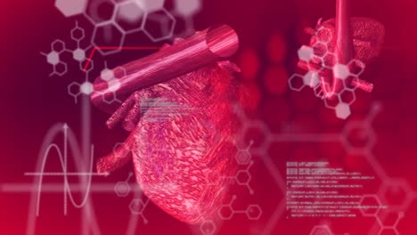 Animation-of-chemical-formulas-and-data-processing-over-rotating-human-heart-models