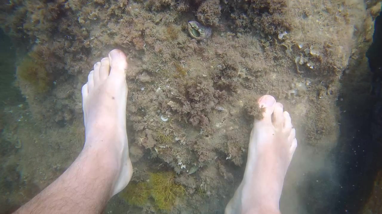 Underwater footage exploring rocky seabed formations with marine textures and natural sunlight filtering through clear ocean water