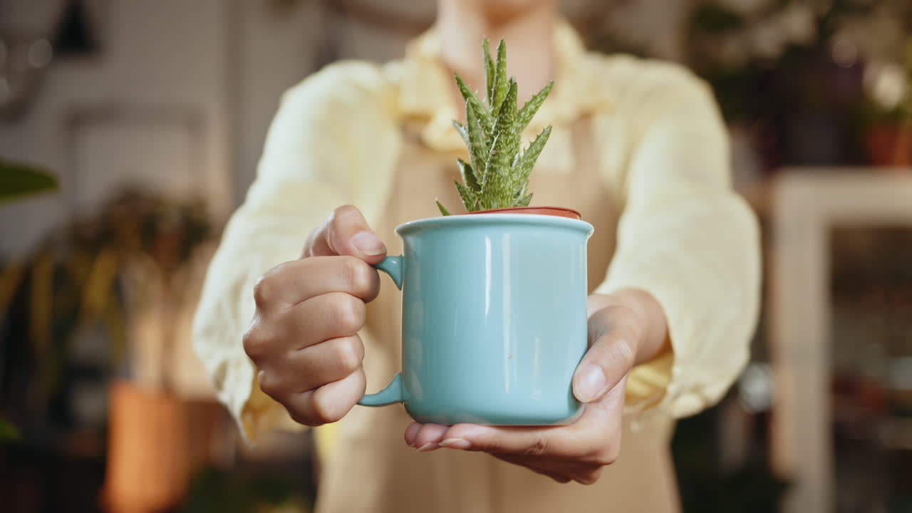 mujer sosteniendo una pequeña planta de cactus en una taza