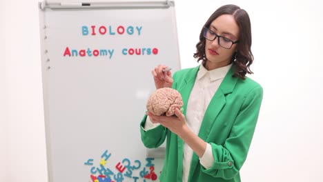 female biology teacher explaining brain anatomy